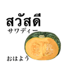 国産かぼちゃ 【タイ語】（個別スタンプ：1）