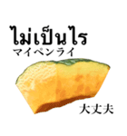 国産かぼちゃ 【タイ語】（個別スタンプ：5）