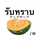 国産かぼちゃ 【タイ語】（個別スタンプ：8）