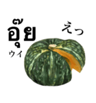 国産かぼちゃ 【タイ語】（個別スタンプ：16）