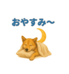 秋わんこリアルでかわいい毎日スタンプ（個別スタンプ：5）