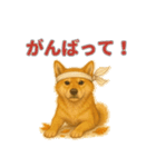 秋わんこリアルでかわいい毎日スタンプ（個別スタンプ：8）