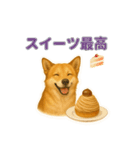 秋わんこリアルでかわいい毎日スタンプ（個別スタンプ：14）