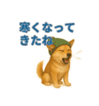 秋わんこリアルでかわいい毎日スタンプ（個別スタンプ：17）