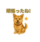 秋わんこリアルでかわいい毎日スタンプ（個別スタンプ：21）