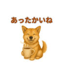 秋わんこリアルでかわいい毎日スタンプ（個別スタンプ：22）