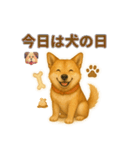 秋わんこリアルでかわいい毎日スタンプ（個別スタンプ：23）