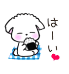 【犬】毎日つかえるよ（個別スタンプ：13）