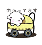 【犬】毎日つかえるよ（個別スタンプ：22）