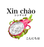 南国のドラゴンフルーツ【ベトナム語】（個別スタンプ：1）