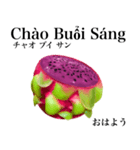 南国のドラゴンフルーツ【ベトナム語】（個別スタンプ：2）