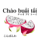 南国のドラゴンフルーツ【ベトナム語】（個別スタンプ：3）