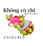 南国のドラゴンフルーツ【ベトナム語】（個別スタンプ：5）