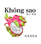 南国のドラゴンフルーツ【ベトナム語】（個別スタンプ：6）