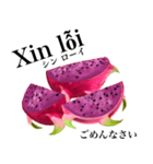 南国のドラゴンフルーツ【ベトナム語】（個別スタンプ：7）