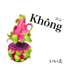 南国のドラゴンフルーツ【ベトナム語】（個別スタンプ：9）