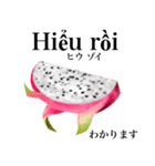 南国のドラゴンフルーツ【ベトナム語】（個別スタンプ：10）