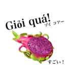 南国のドラゴンフルーツ【ベトナム語】（個別スタンプ：11）
