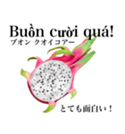 南国のドラゴンフルーツ【ベトナム語】（個別スタンプ：13）