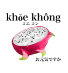 南国のドラゴンフルーツ【ベトナム語】（個別スタンプ：14）