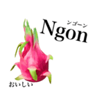 南国のドラゴンフルーツ【ベトナム語】（個別スタンプ：15）