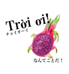 南国のドラゴンフルーツ【ベトナム語】（個別スタンプ：16）