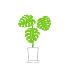 観葉植物と犬猫セット 修正版（個別スタンプ：4）