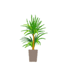 観葉植物と犬猫セット 修正版（個別スタンプ：7）