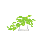 観葉植物と犬猫セット 修正版（個別スタンプ：11）