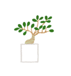 観葉植物と犬猫セット 修正版（個別スタンプ：13）