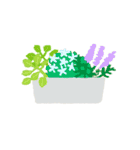 観葉植物と犬猫セット 修正版（個別スタンプ：20）