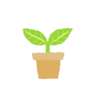 観葉植物と犬猫セット 修正版（個別スタンプ：21）