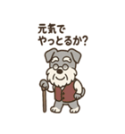 まったりおじいちゃんシュナ（個別スタンプ：4）
