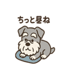 まったりおじいちゃんシュナ（個別スタンプ：6）