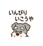 まったりおじいちゃんシュナ（個別スタンプ：8）
