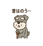 まったりおじいちゃんシュナ（個別スタンプ：11）