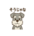 まったりおじいちゃんシュナ（個別スタンプ：15）
