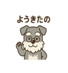 まったりおじいちゃんシュナ（個別スタンプ：16）