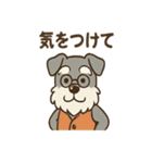 まったりおじいちゃんシュナ（個別スタンプ：17）