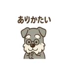 まったりおじいちゃんシュナ（個別スタンプ：19）
