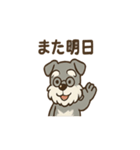 まったりおじいちゃんシュナ（個別スタンプ：23）
