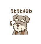 まったりおじいちゃんシュナ（個別スタンプ：31）