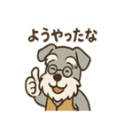 まったりおじいちゃんシュナ（個別スタンプ：33）