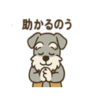 まったりおじいちゃんシュナ（個別スタンプ：35）