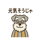 まったりおじいちゃんシュナ（個別スタンプ：36）