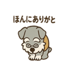 まったりおじいちゃんシュナ（個別スタンプ：38）