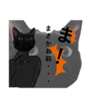 シュールな黒ネッコさん⑤（個別スタンプ：7）
