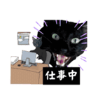シュールな黒ネッコさん⑤（個別スタンプ：15）