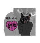 シュールな黒ネッコさん⑤（個別スタンプ：16）