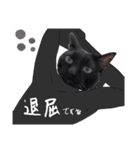 シュールな黒ネッコさん⑤（個別スタンプ：17）